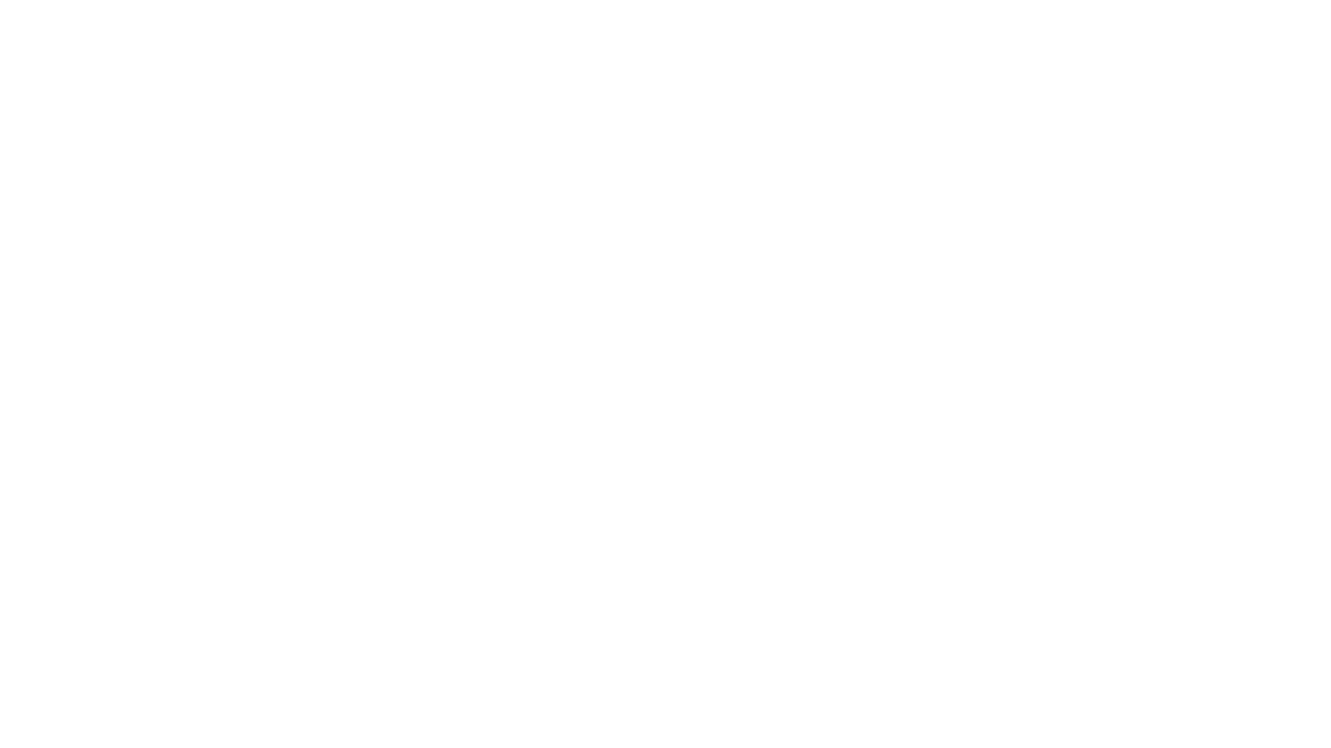 IDENTITÉ VISUELLE CHES (2)